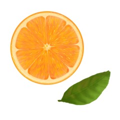 Orange slice in a cut with a green leaf on a white background separately, graphic art.