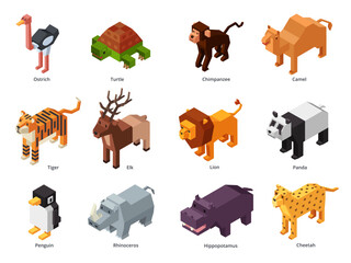 Isometric zoo animals. Low poly panda, penguin toy and tiger. Herbivores and predatory wild animal 3D cartoon vector set © WinWin