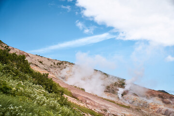 Steaming mud holes and solfataras in the geothermal area of Kamchatka peninsula. Summer landscape