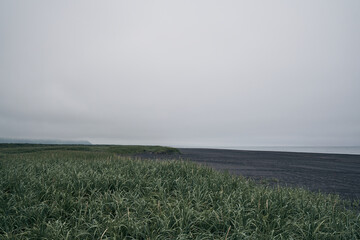 Deserted beach with black sand. East coast of Kamchatka peninsula