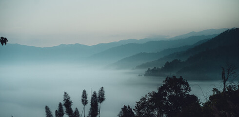 Sunrise in the forest,Aerial view of thick morning fog