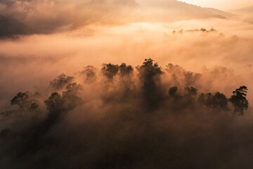 Sunrise in the forest,Aerial view of thick morning fog
