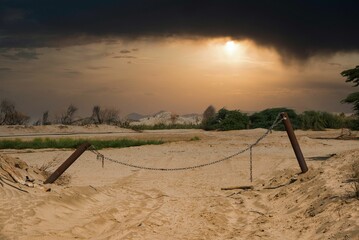 beautiful nature with greenery