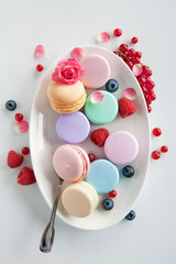 Photo of color containers for cosmetic products on the white plate