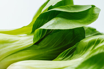 Fototapeta premium Fresh vegetable bok choy ingredients laid out on the table