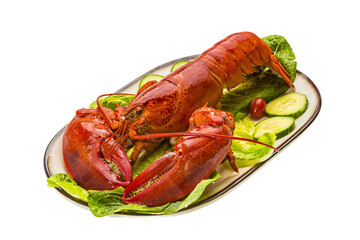 Large Lobster