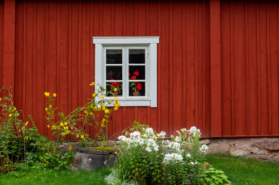 A typically red wooden cottage and barn in a Swedish summer landscape