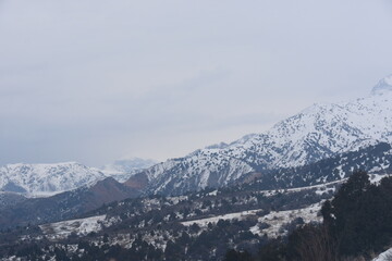 Fototapeta premium snow covered mountains
