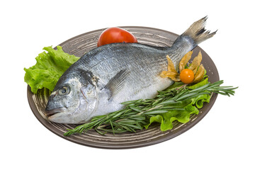 Raw dorado with herbs