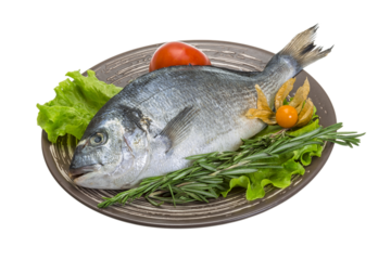 Raw dorado with herbs