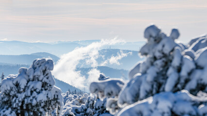 Stunning panorama of snowy landscape in winter in Black Forest - Snow winter wonderland snowscape with frozen defocused firs in the foreground and fog mountains silhouette