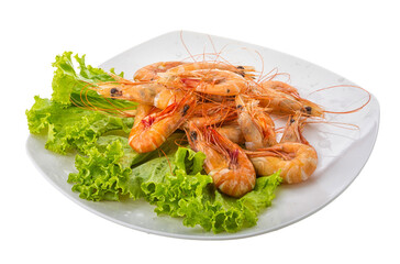Big tiger shrimps