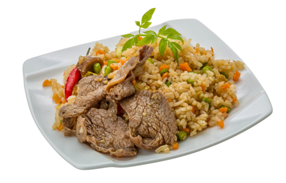 Fried rice with beef