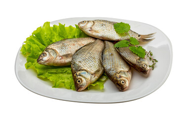 Crucian fish