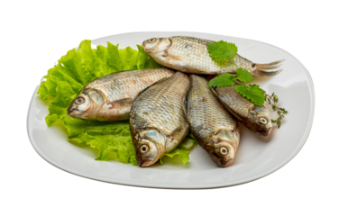 Crucian fish
