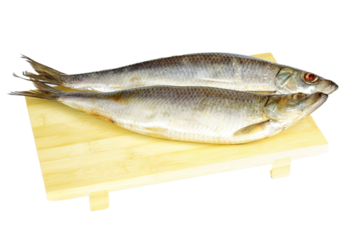 Salted herring isolated on the white background