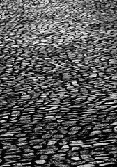 Kopfsteinpflaster im Gegenlicht,Ribeira Grande,Insel Sao Miguel,Azoren,Portugal,