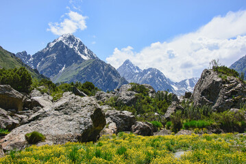 Beautiful view in the Tian Shan Mountains, Karakol, Kyrgyzstan