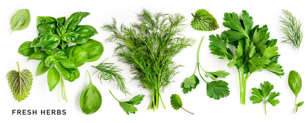Parsley, basil, dill and mint leaves creative layout.