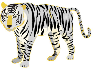 イラスト素材：寅年　リアルなトラ全身　手描き筆タッチ　3色(透過背景)
