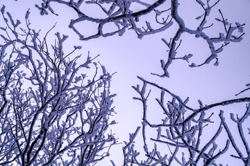 Scenic view of snow-covered mountains against sky