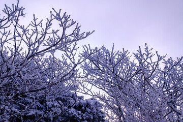 Scenic view of snow-covered mountains against sky