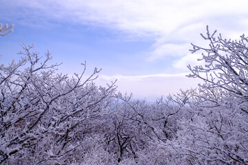 Scenic view of snow-covered mountains against sky