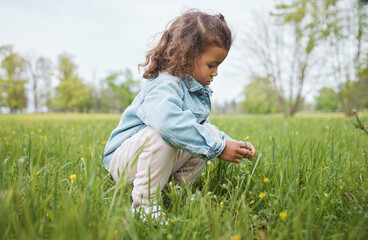 Fototapeta premium Grass, flowers and children with a girl in the park alone during summer or spring in nature with mockup. Field, green and kids with a female child picking a dandelion flower in a garden outdoor