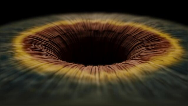 A microscopic concept showing the detailed makeup of an eyes iris as it dilates contracts and twitches with movement