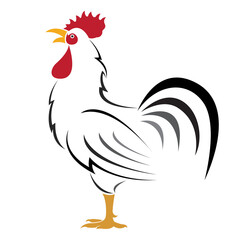 Cock design isolated on transparent background. Farm Animals.