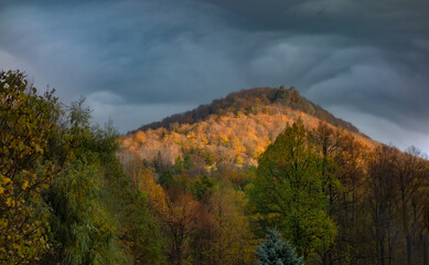 Autumn nature on the Jizera mountains in Bohemia - 554624723