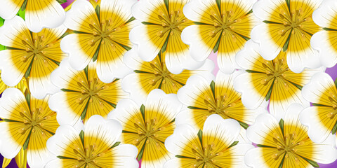 Vector seamless beautiful pattern flower and leaves flat background