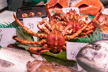 Galician spider crab (Maja brachydactyla) along with other fish in a fishmonger's shop in Vigo...