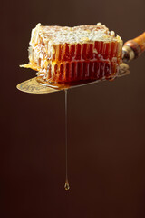 Honeycombs on an antique brass spatula.