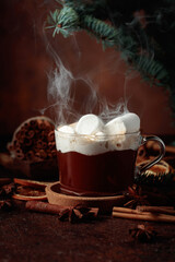 Christmas hot chocolate with marshmallows.