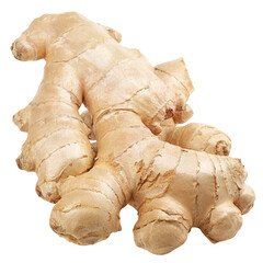 fresh Ginger root isolated on white background, clipping path, full depth of field