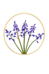 Bluebell wildflower abstract design symbol with wooden round shape wreath frame. Spring nature flower logo arrangement on white background.