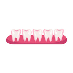 Teeth after braces cartoon illustration. Stage of dental alignment or treatment with usage of brackets for beautiful smile. Orthodontist, healthcare, medicine concept