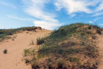 View of the Oleshkiv sands - the Ukrainian desert near the city of Kherson. Ukraine