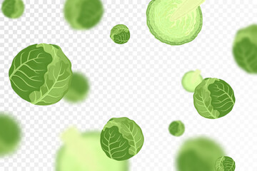 Cabbage background. Flying or falling fresh cabbage isolated on transparent background. Can be used for advertising, packaging, banner, poster, print. Flat design. Nature product. Vector illustration