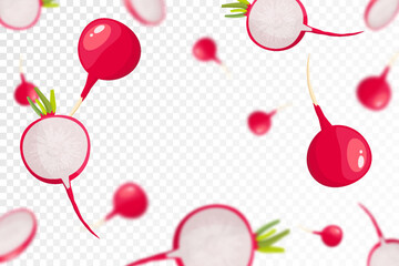 Radish background. Flying or falling fresh radish isolated on transparent background. Can be used for advertising, packaging, banner, poster, print. Flat design. Nature product. Vector illustration