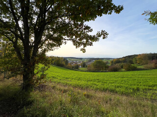 Lonely Bavarian Autumn forest path to reload batteries and reduce stress 