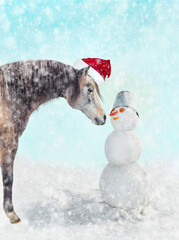 Horse with Santa hat look to snowman at winter snow background