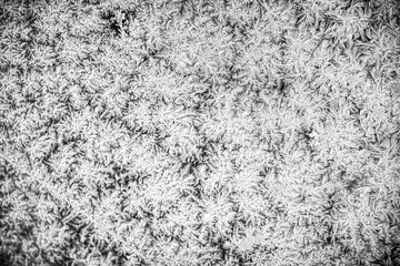texture
