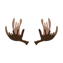 Horns and antlers vector illustration. Horns of wild seasoned elk as trophies isolated on white background. Wildlife, hunting concept