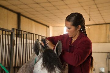 Young and beautiful woman braiding the mane of a horse in a stable. Horse riding concept, animals,...