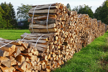 Bundles of firewood