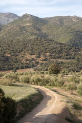 Fototapeta na wymiar Path in Sierra Magina National Park, Jaen, Spain