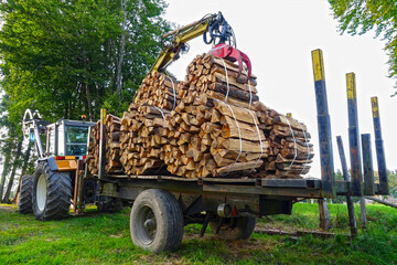 Bundles of firewood on a tractor trailer