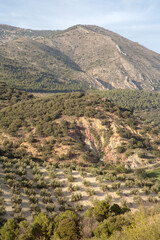 Sierra Magina National Park, Jaen, Spain